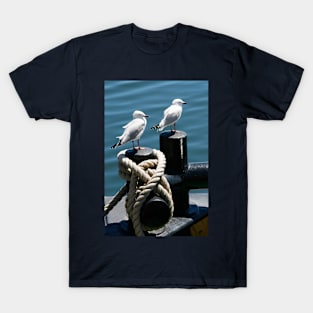 Seagulls on a Bollard T-Shirt